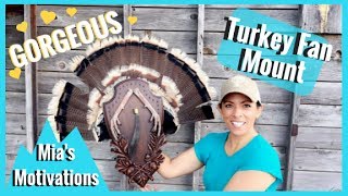 How to Mount a Turkey Fan | Mia's Motivations