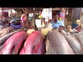 Buying Fish, Shrimp and Crabs in Africa’s Biggest Floating Seafood Factory!! Episode 2