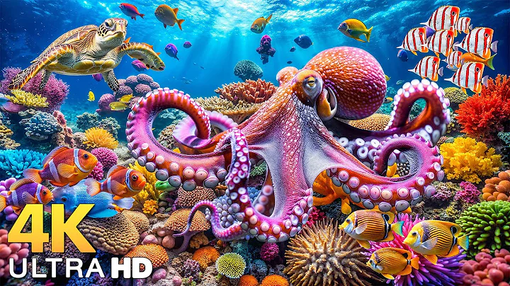Dive Into the Mesmerizing Underwater Realm🐳Marvel at Sea Animal in The Best 4K ULTRA HD Aquarium #10