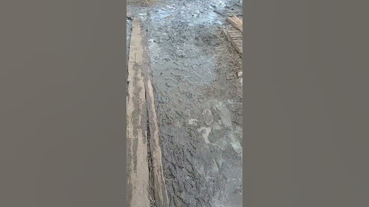 очень много грязи