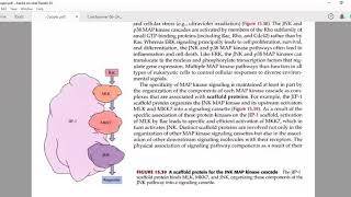 JAK-STAT/ NFkB /TGF-Smad/ Notch/Wnt/Hedgehog signalling