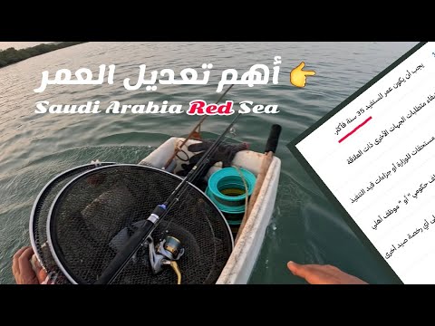 شروط رخصة صيد راجلة أهم تعديل العمر