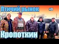 Птичий рынок. Кропоткин. Часть 3. [28.02.2021]