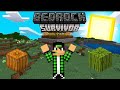 FARM de ABÓBORA e MELANCIA - BEDROCK SURVIVOR - #Ep 32