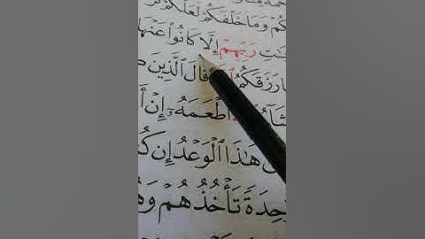 كيف نقرأ سورة يس من الآية 41 إلى الآية 54