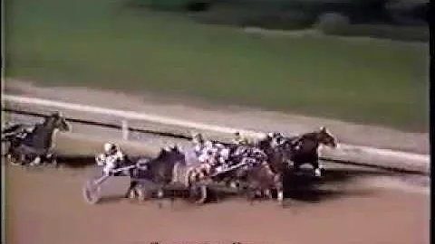 1984 Scioto Downs CAGEY HERO Jug Preview $40,150 T...