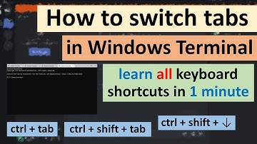 How to switch tabs in Windows Terminal