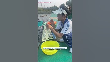 em học sinh đi câu gặp anh chủ hồ thích gái xinh và cái kết  #xuhuong #fishing #cauca#giaitri #short