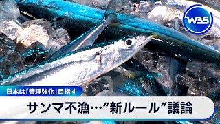 日本は「管理強化」目指す　サンマ不漁…“新ルール”議論【WBS】（2024年4月15日）