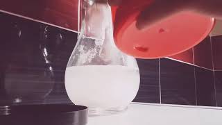 Famous Experiment: 120 grams of creatine in 450 ml of water Net Worth