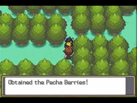 Pokemon HeartGold / SoulSilver Walkthrough - Part 17 - Route 36 & Sudowoodo  