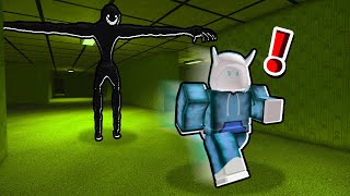 I Played The Most SCARIEST Game EVER... (Roblox Apeirophobia)