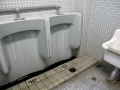 スターライト工業プラストール壁式小便器 2 （今は在りません）Urinal Flushing