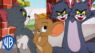 Tom y Jerry en Español 🇪🇸 | Lo mejor del gato Tom 🐱💙 | @WBKidsEspana