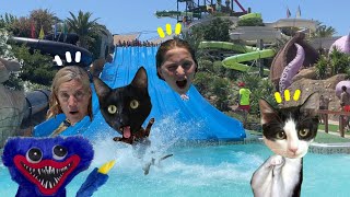 24 horas en parque acuático con piscinas y Huggy Wuggy / Videos de familia de gatos Luna y Estrella