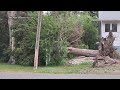 Severe storm causes damage in Townsend