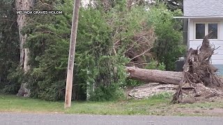 Severe storm causes damage in Townsend