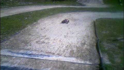 Traxxas revo with a .28 dynamite big red