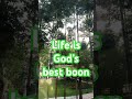 Life is gods best boon youtubepositivethings youtubeshorts shorts