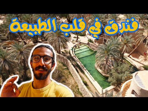 وسط مليون نخلة  أغرب فندق في مصر