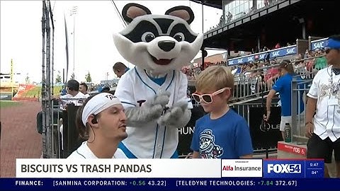 Rocket City Trash Pandas beat Montgomery Biscuits 9-0; extend winning streak to five games