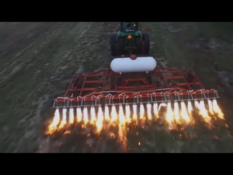 วีดีโอ: เมื่อใดจึงจะเหมาะสมในการกำจัดวัชพืชด้วยเปลวไฟ - เคล็ดลับในการใช้เครื่องตัดหญ้าเปลวไฟ