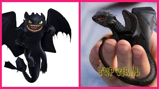 How To Train Your Dragon 3 In Real Life 💥 All Characters 👉@Tup Viral
