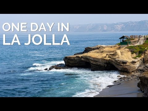 La Jolla: One Day Exploring the Coastal Town's Best Spots