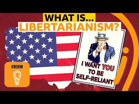 Video: Ideas of the Libertarian Party. Cov hom phiaj tseem ceeb, cov thawj coj thiab nyiaj txiag