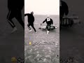اقو دقه ناقصه