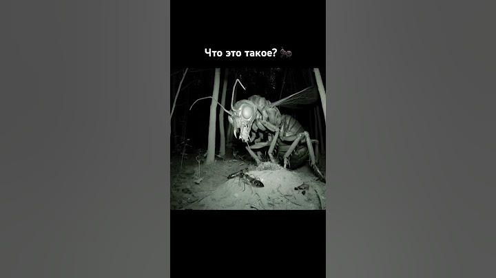 Муравьиная королева или пчела? #муравьи гигантский монстр #мутанты #memes