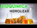 3 - ¿QUÉ ES HIDROLIZAR? || SIGNIFICADO.