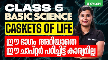 Class 6 Basic Science | Chapter 1 Caskets of Life - ജീവന്റെ ചെപ്പുകൾ | Xylem Class 6