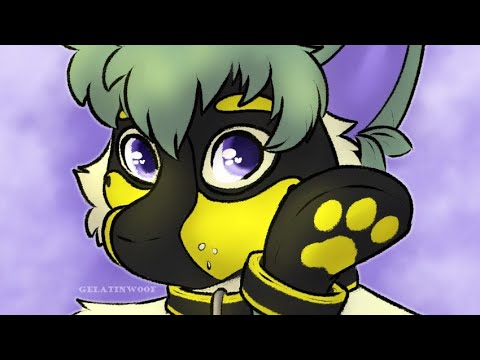 Puppy