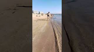 Анапа 5 сентября 2025 #анапа#море #Джемете