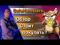 SafeHamsters обзор / safehamsters token / safehamsters как купить / safehamsters новости