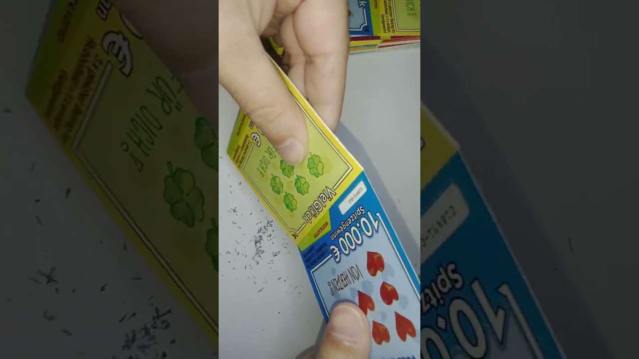 Rubbellose 5 Jahre alt.     !!!Krass!!!