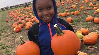 How to Pick the Perfect Pumpkin