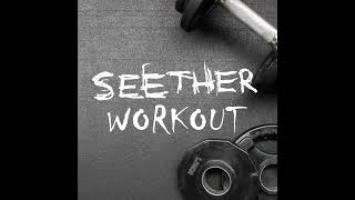 Seether - Same Damn Life