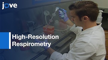 Measure Mitochondrial Function: Intact Beta Cells In Presence-Natural Compounds l Protocol Preview
