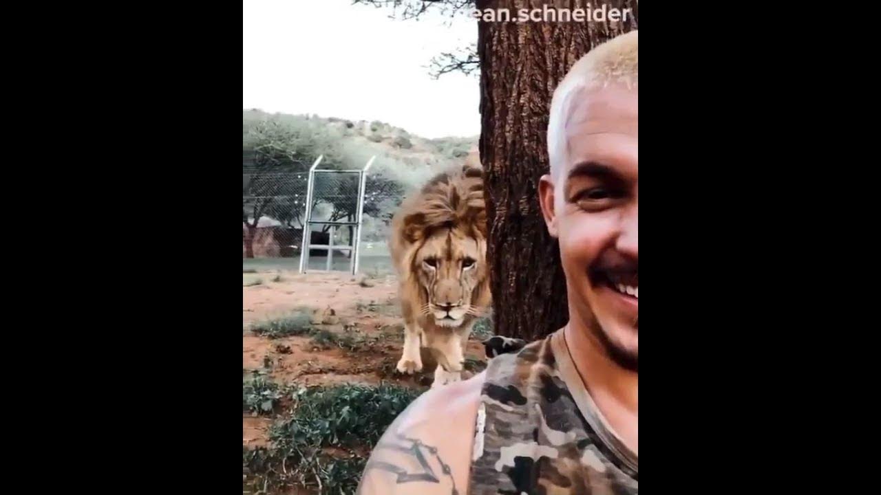 Lion Attacking Man from Behind | Animal Heaven | - YouTube