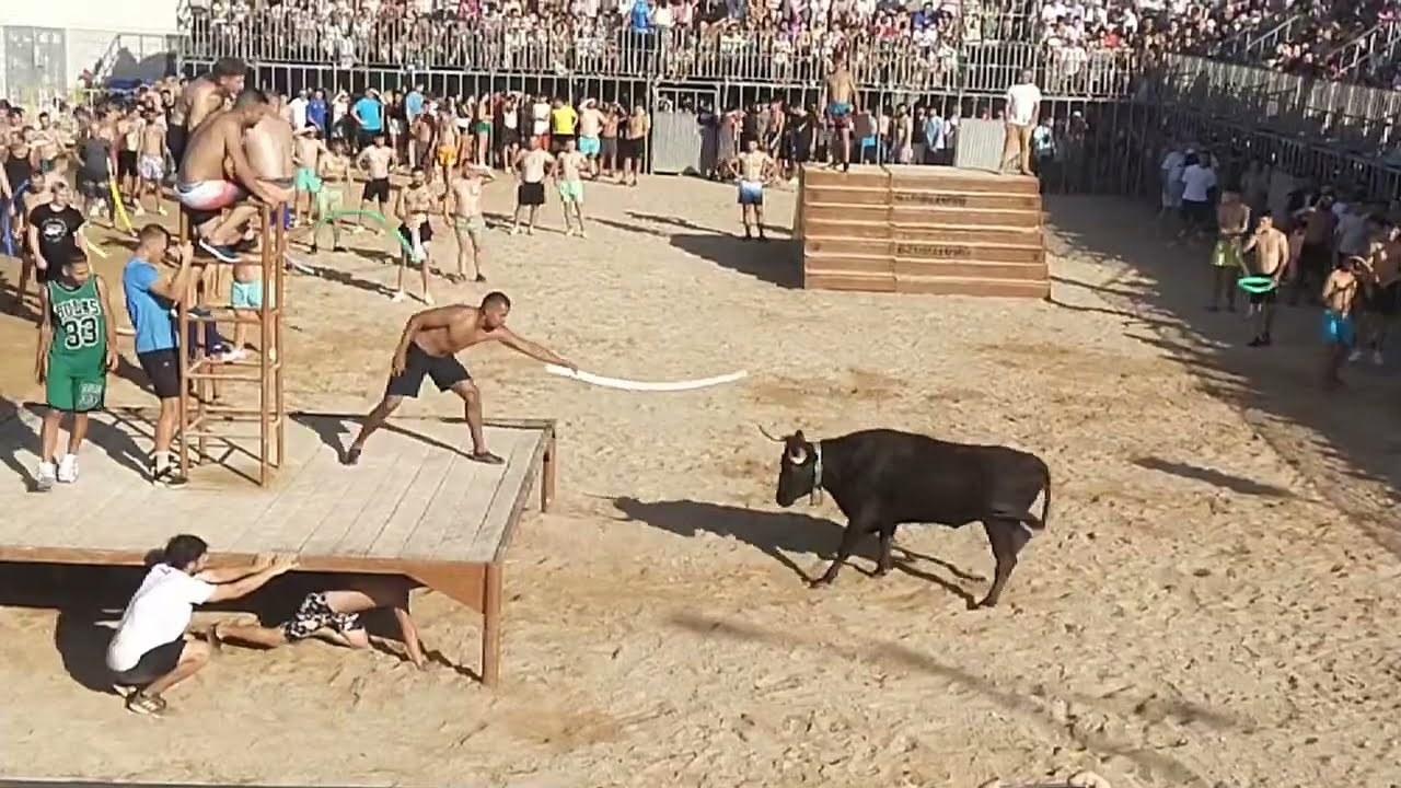 Bous a la mar de Denia 11.07.2025 - Els  Coves