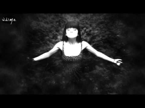 Awaken The Echoes - Falls Down