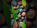 The Jaw-Dropping Truth About Snails Sleeping for 3 Years! 🐌😴 #shorts