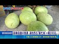 南投貨車自撞卡側溝！滿地西瓜受損恐報廢，預估損失逾 40 萬元，民眾現場一顆 200 元處理｜三立新聞LIVE
