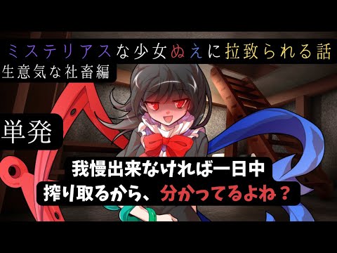 ゆっくり茶番劇 ミステリアスな少女ぬえに拉致られる話 生意気な社畜編