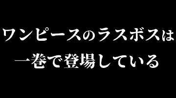 ワンピース ワンピースの正体