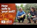 How to find out how safe your soil is for growing food | Gardening 101 | Gardening Australia