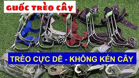 Dụng Cụ Trèo Cây Đa Năng| Guốc Trèo Cây 2 Đinh Mới Nhất 2023| Cách Sử Dụng An Toàn - Hiệu Quả