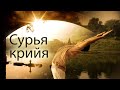 Сурья-крийя — разожгите внутреннее Солнце